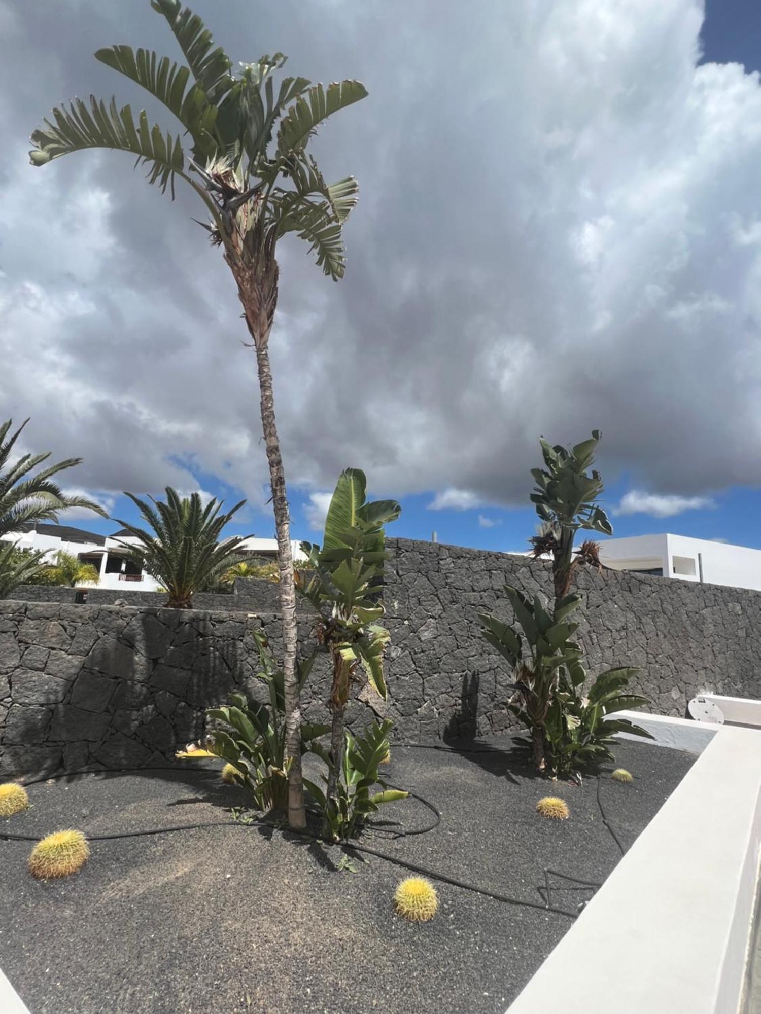 Villa Dedalos - A Luxury Large Villa With A Heated Pool In Puerto Calero Buitenkant foto